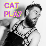 67: Cat Play